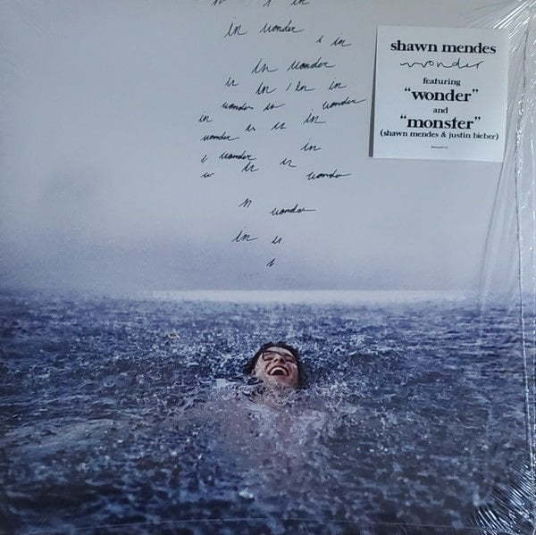 Shawn Mendes Wonder LP