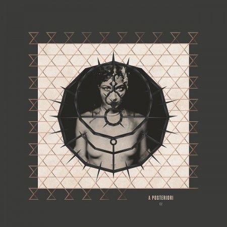 Enigma - A Posteriori (MONOCHROM) LP