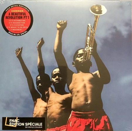 Common - A Beautiful Revolution (Pt 1) LP