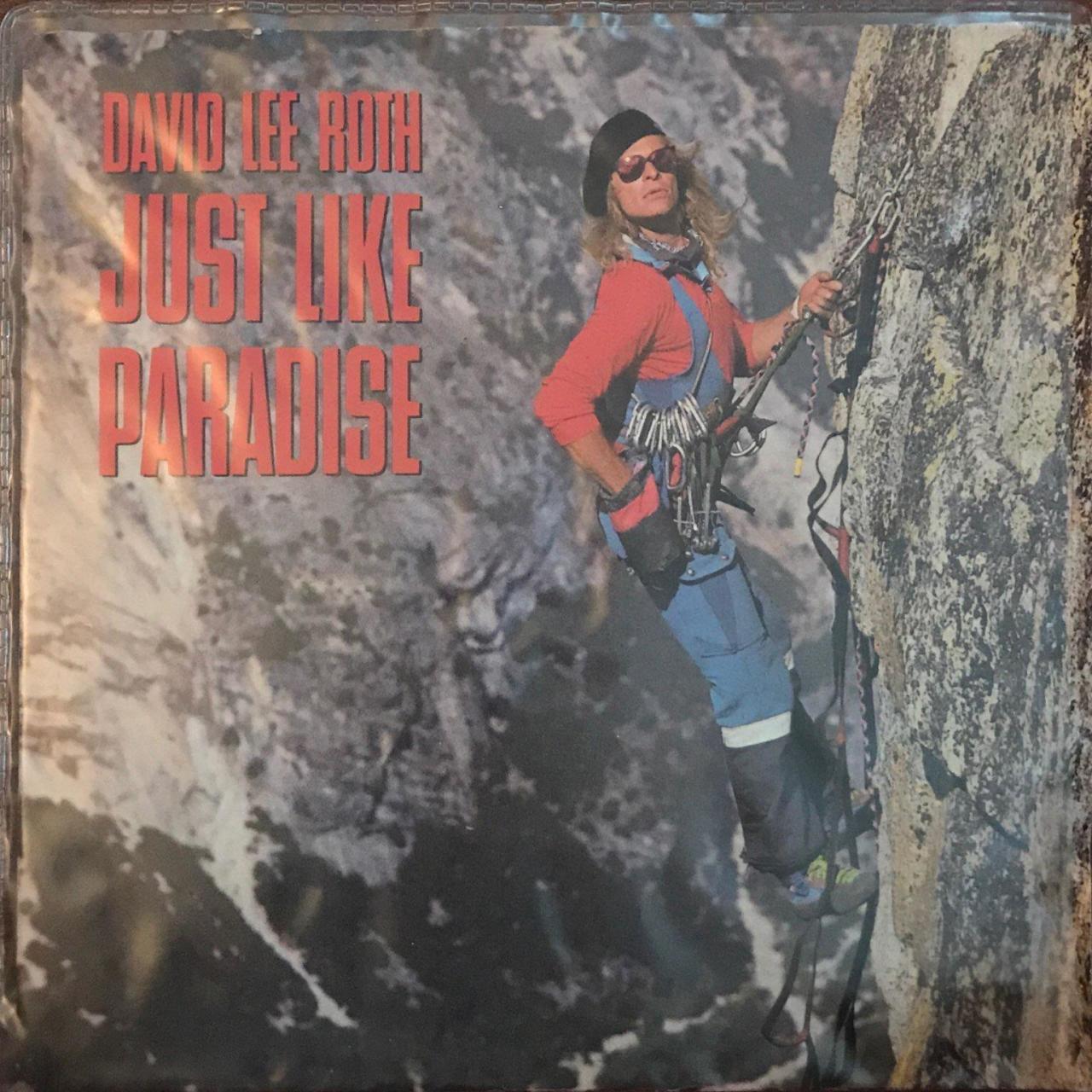 David Lee Roth Just Like Paradise 45lik