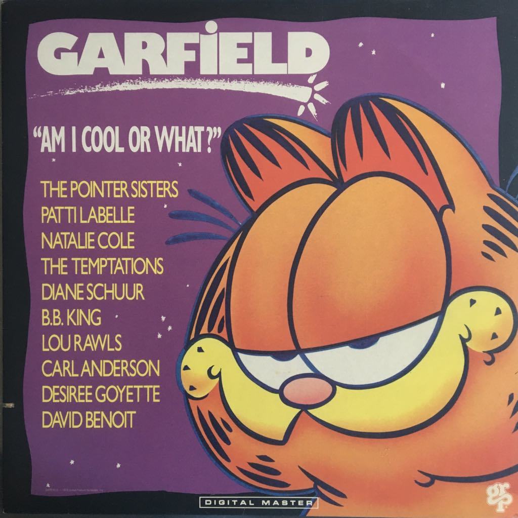 Garfield Am I Cool Or What? LP