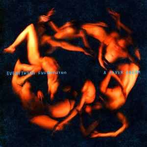 Everything Everything - A Fever Dream LP
