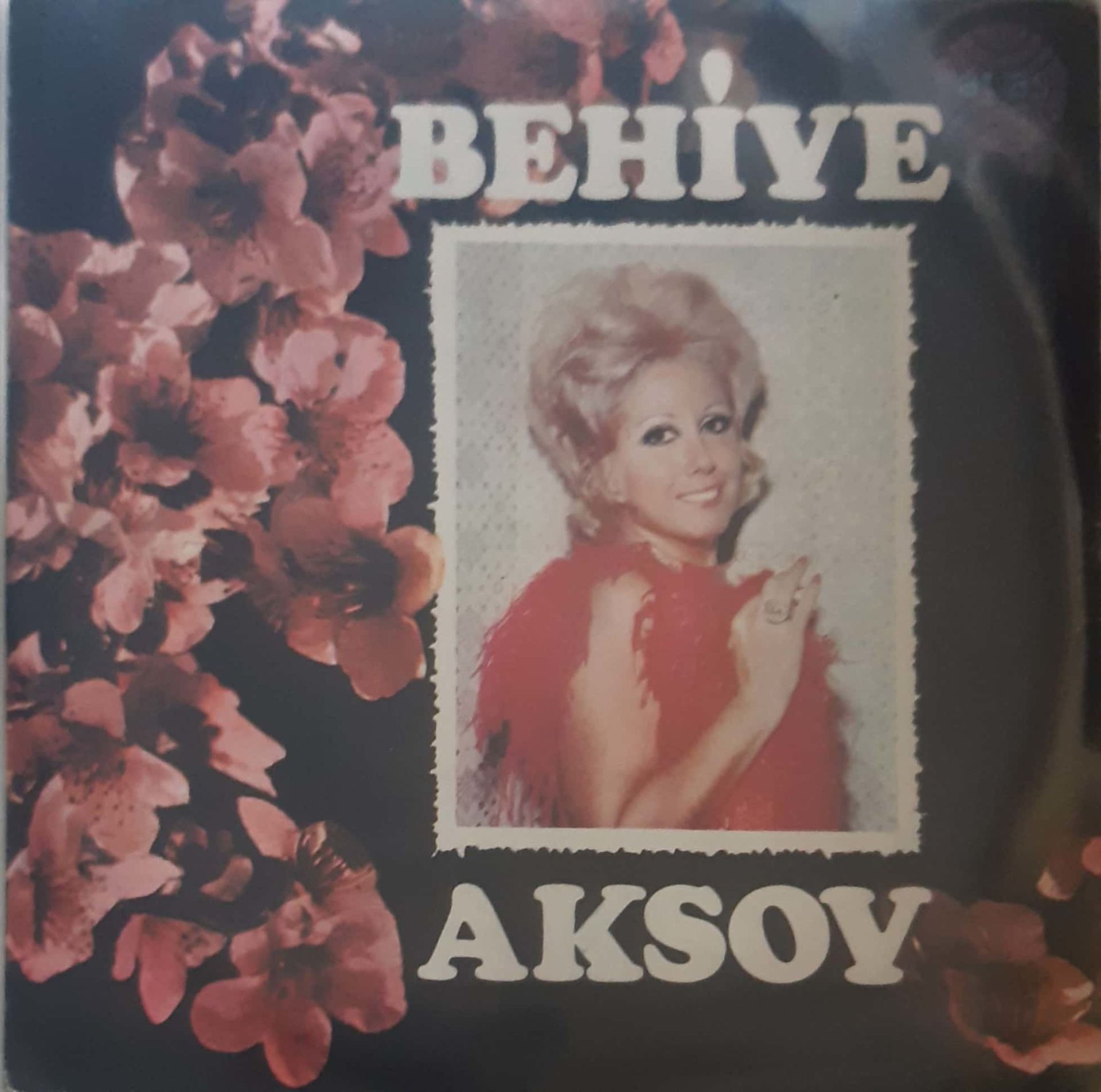 Behiye Aksoy Karanlık Dünyalar 45lik