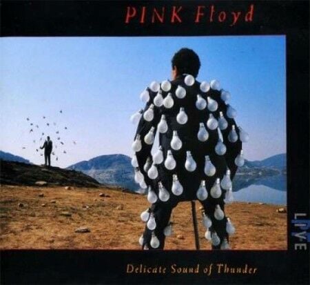 Pink Floyd - Delicate Sound Of Thunder Double LP
