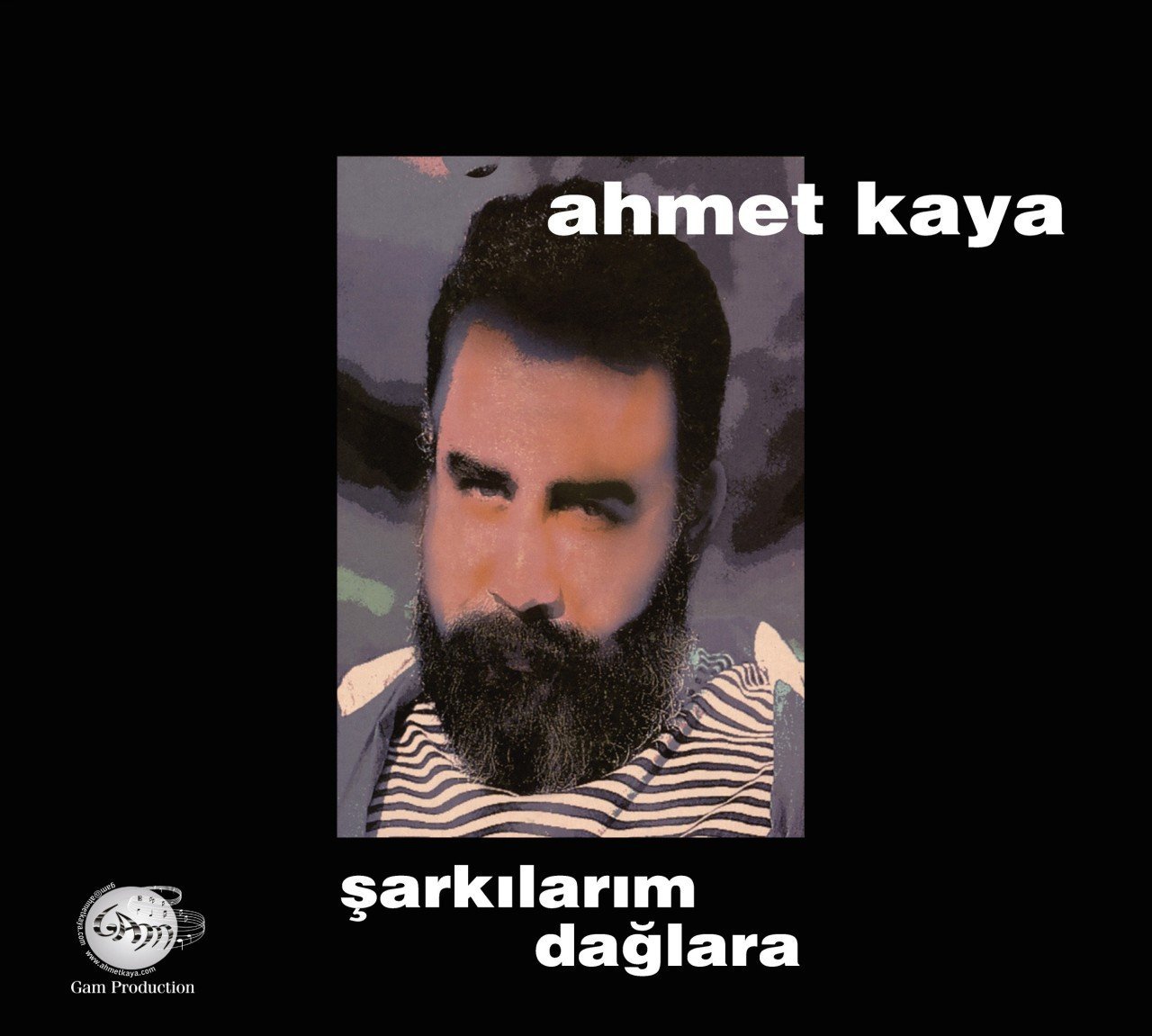 Ahmet Kaya Şarkılarım Dağlara LP