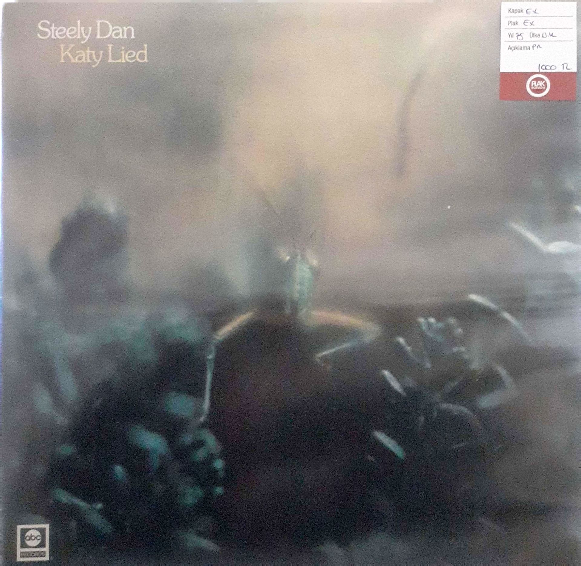 Katy Lied - Steely Dan LP