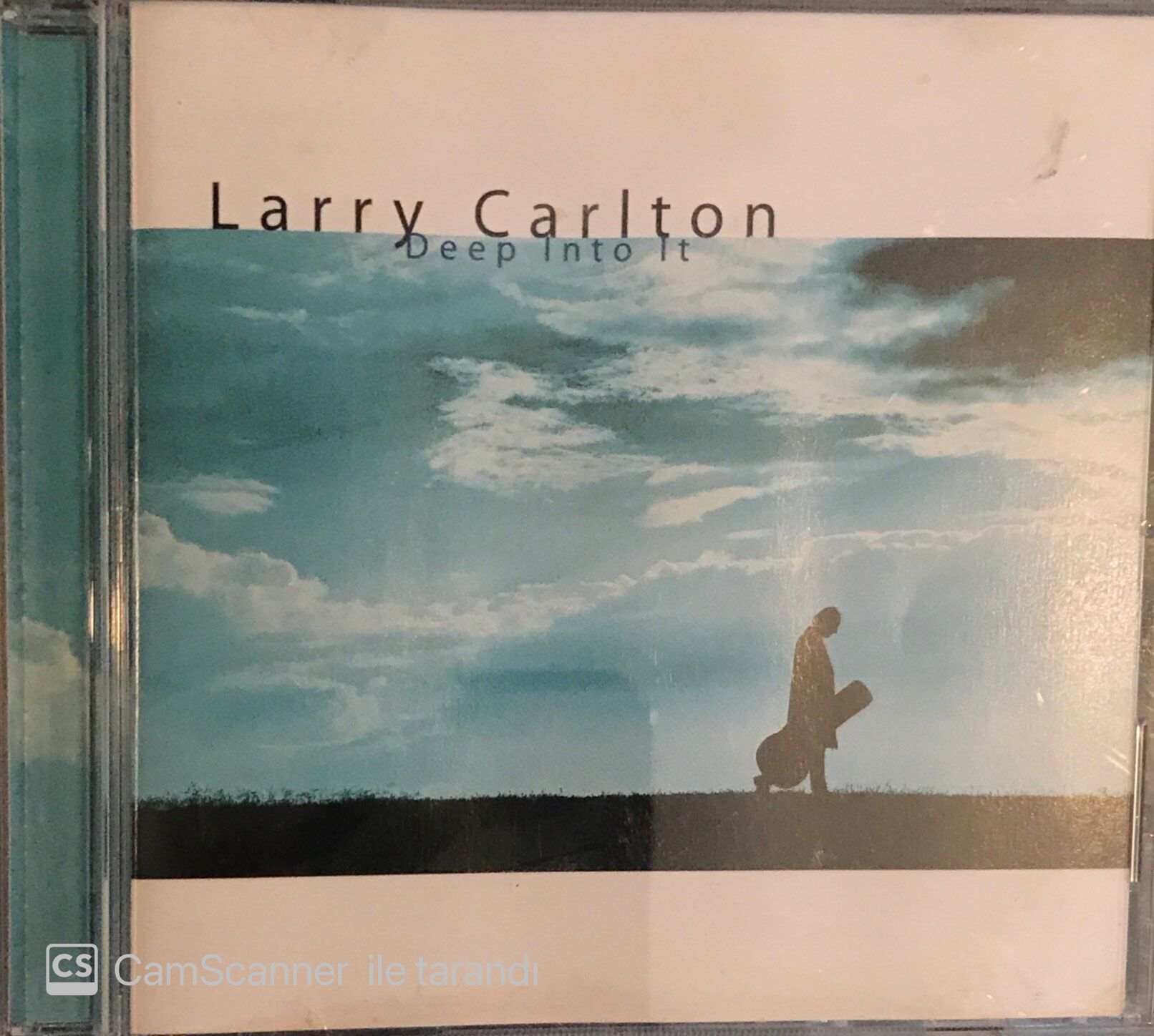 Larry Carlton - Deep Into It CD