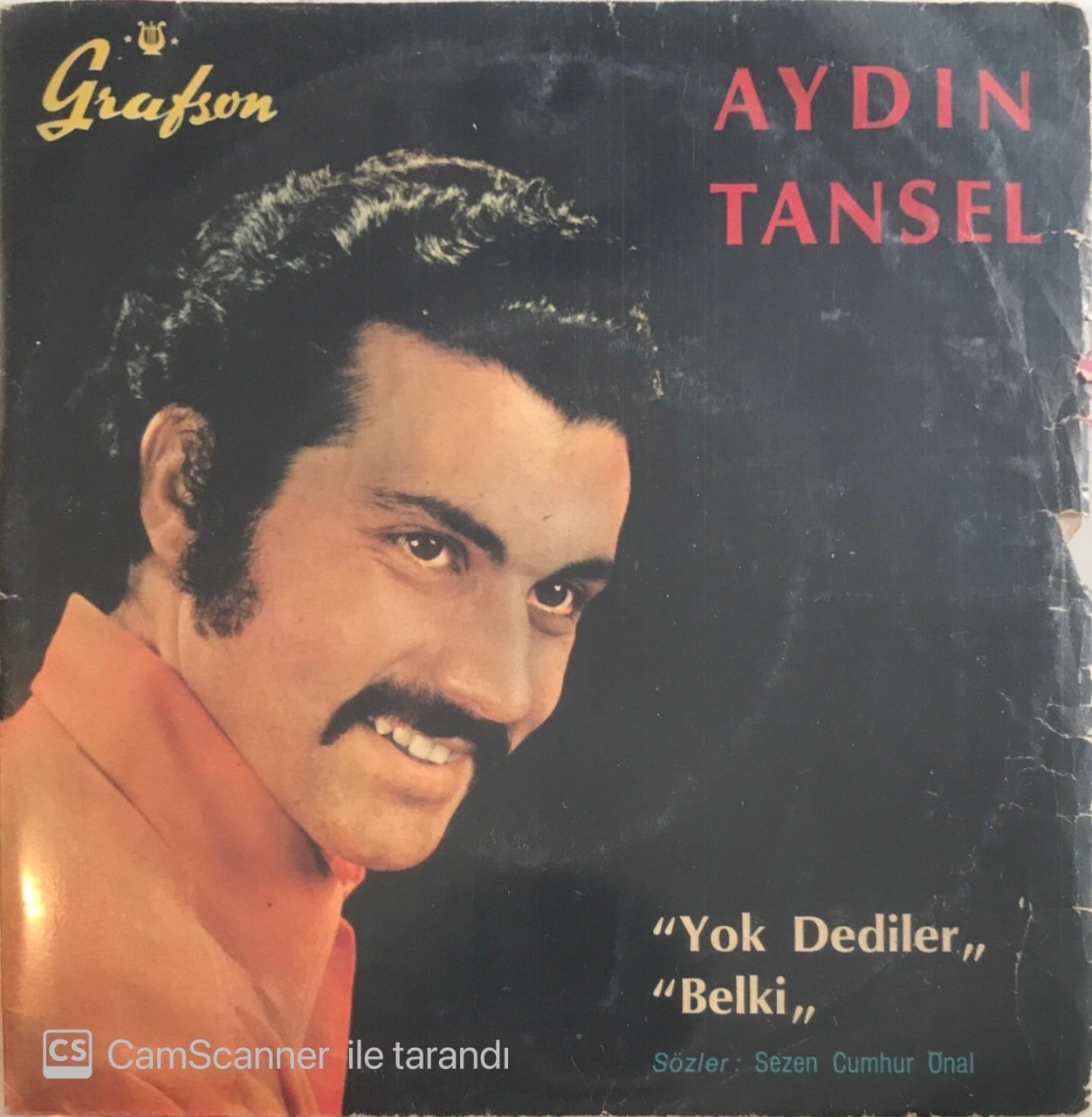 Aydın Tansel Belki 45lik