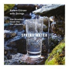 Spring Water Kerem Görsev with Springs LP