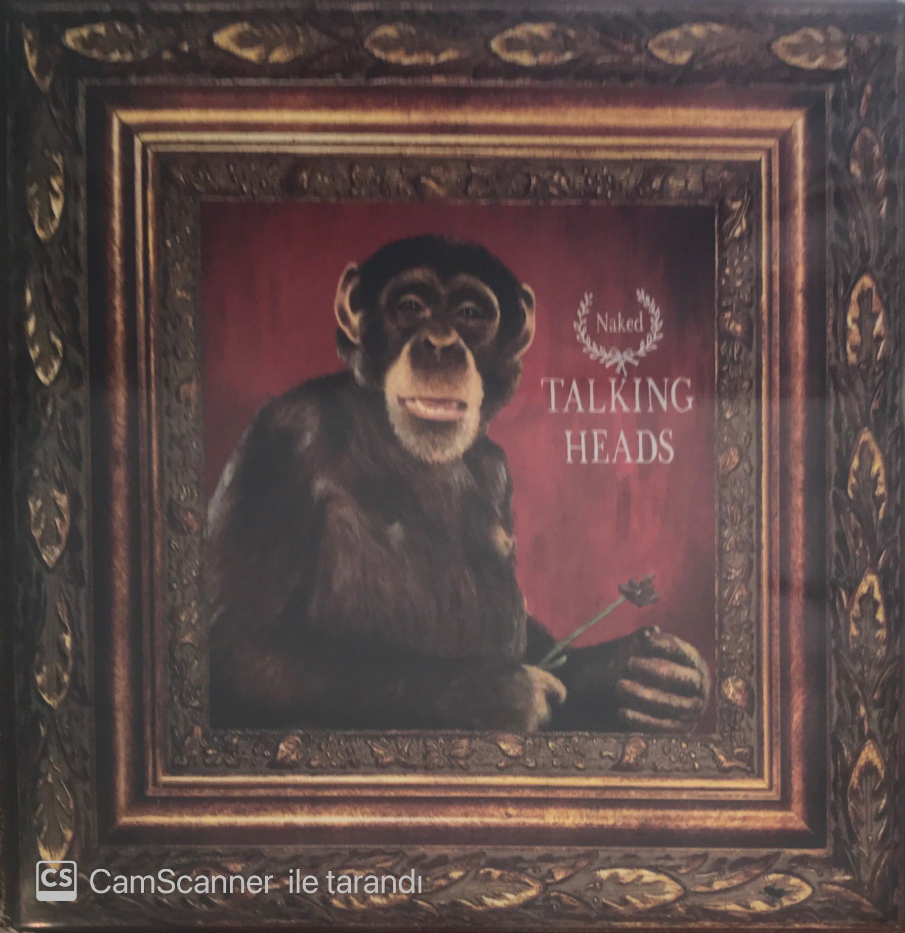 Talking Heads Naked LP