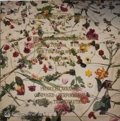 Prince And The Revolution - When Doves Cry MAXİ