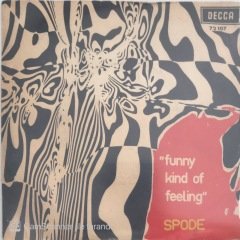Spode Funny Kind Of Felling 45lik