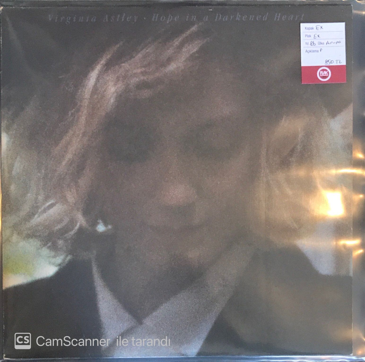 Virginia Astley - Hope In A Darkened Heart LP