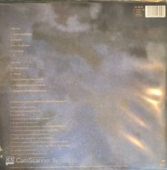 Virginia Astley - Hope In A Darkened Heart LP