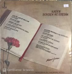 Meral Gökçe - Kader Benden Ne İstedin? LP