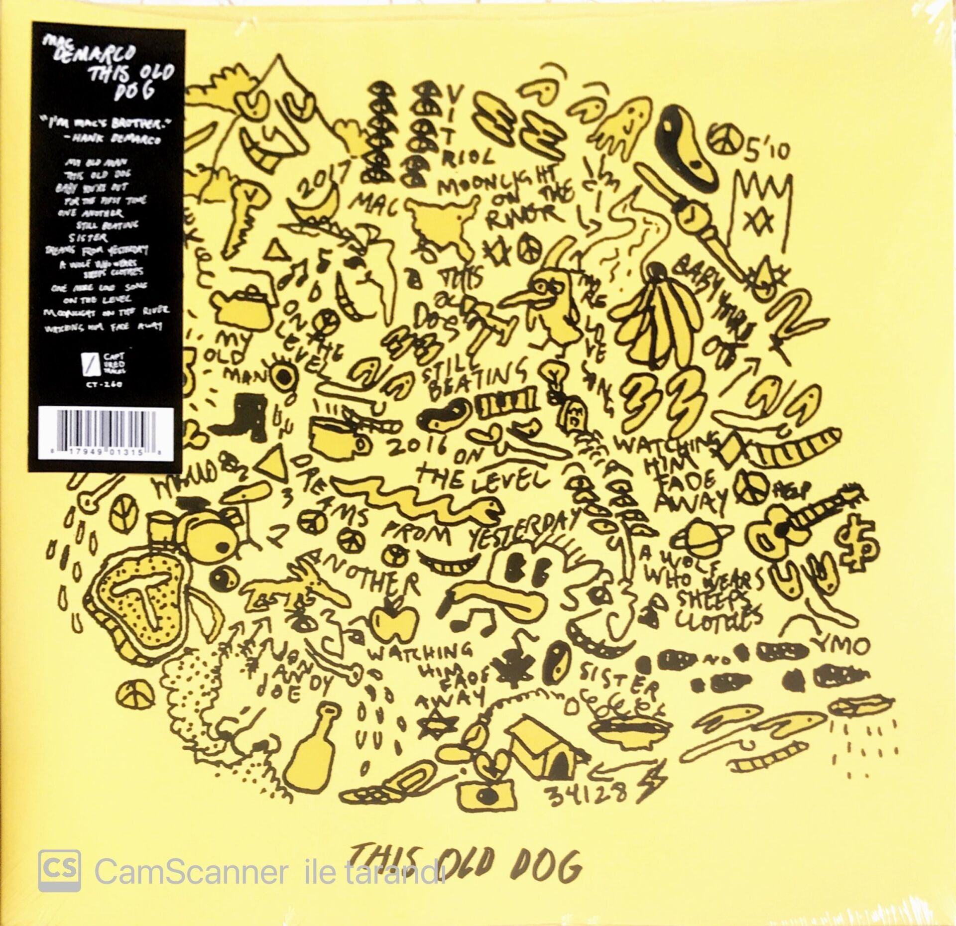 Mac Demarco - This Old Dog - LP