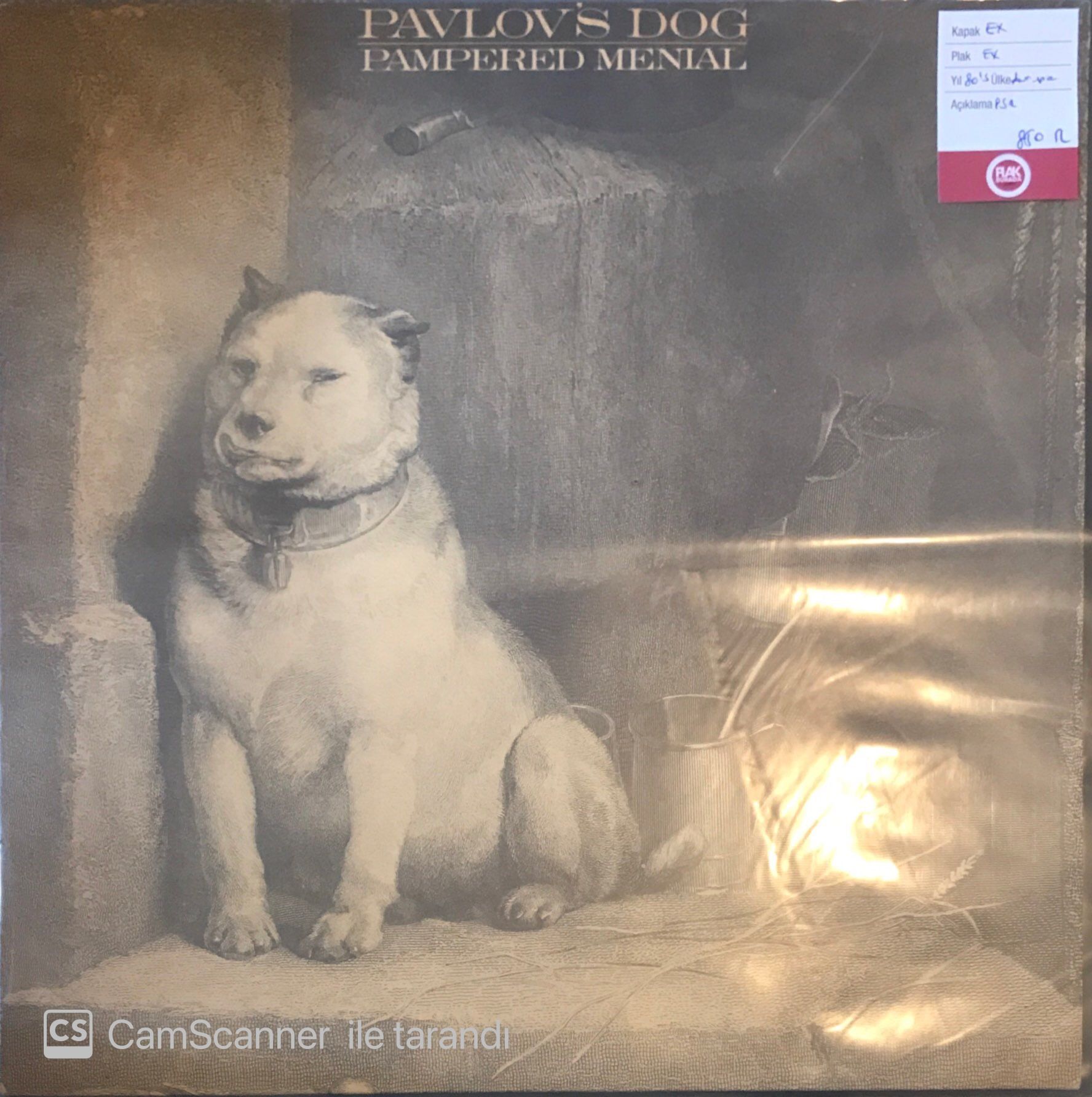 Pavlov's Dog - Pampered Menial LP