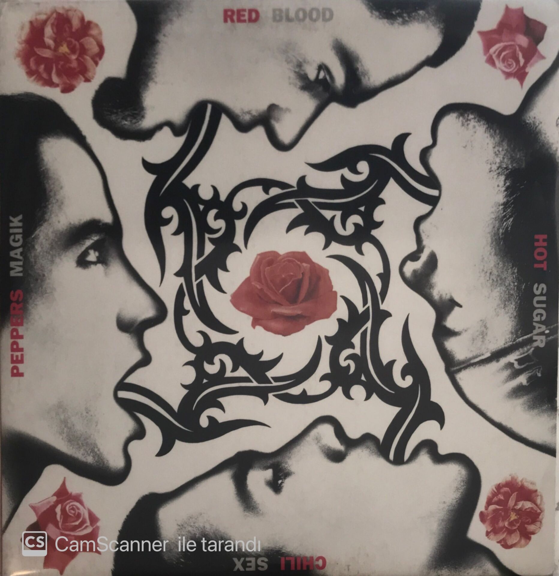 Red Hot Chili Peppers Blood Sugar Sex Magik LP