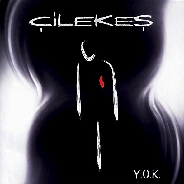 Çilekeş - Y.O.K LP