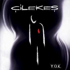 Çilekeş - Y.O.K LP