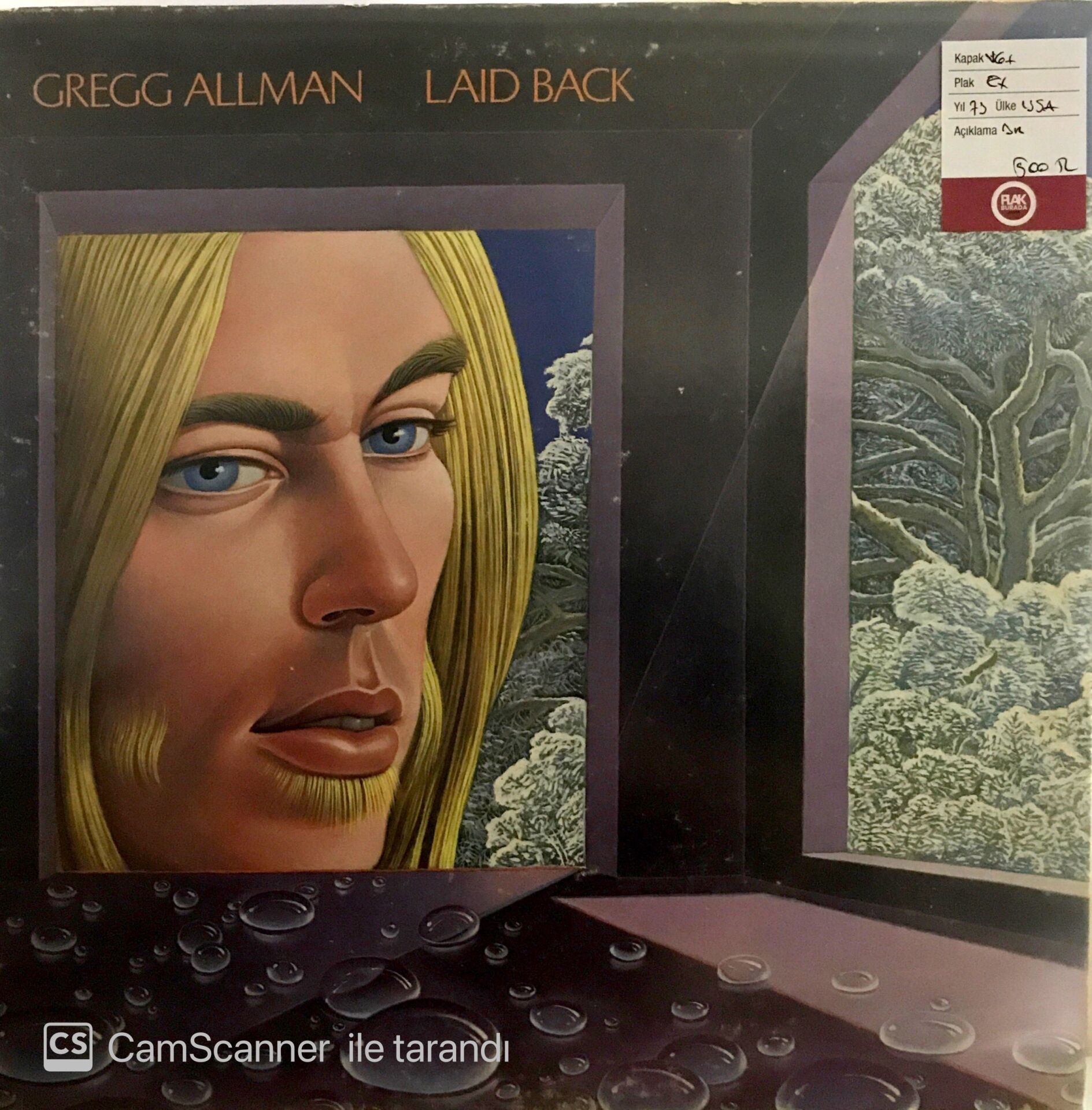 Gregg Allman - Laid Back LP