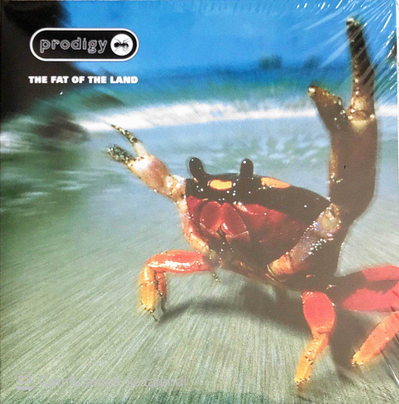 Prodigy - The Fat Of The Land - CD