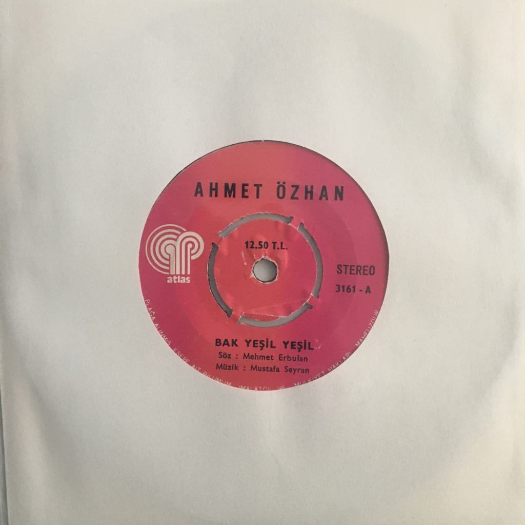 Ahmet Özhan Bak Yeşil Yeşil 45lik