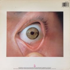 The Flaming Lips – Hear It Is LP