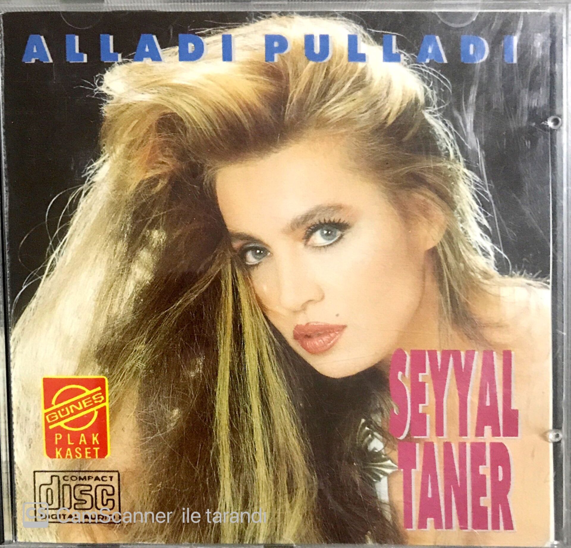 Seyyal Taner Alladı Pulladı CD