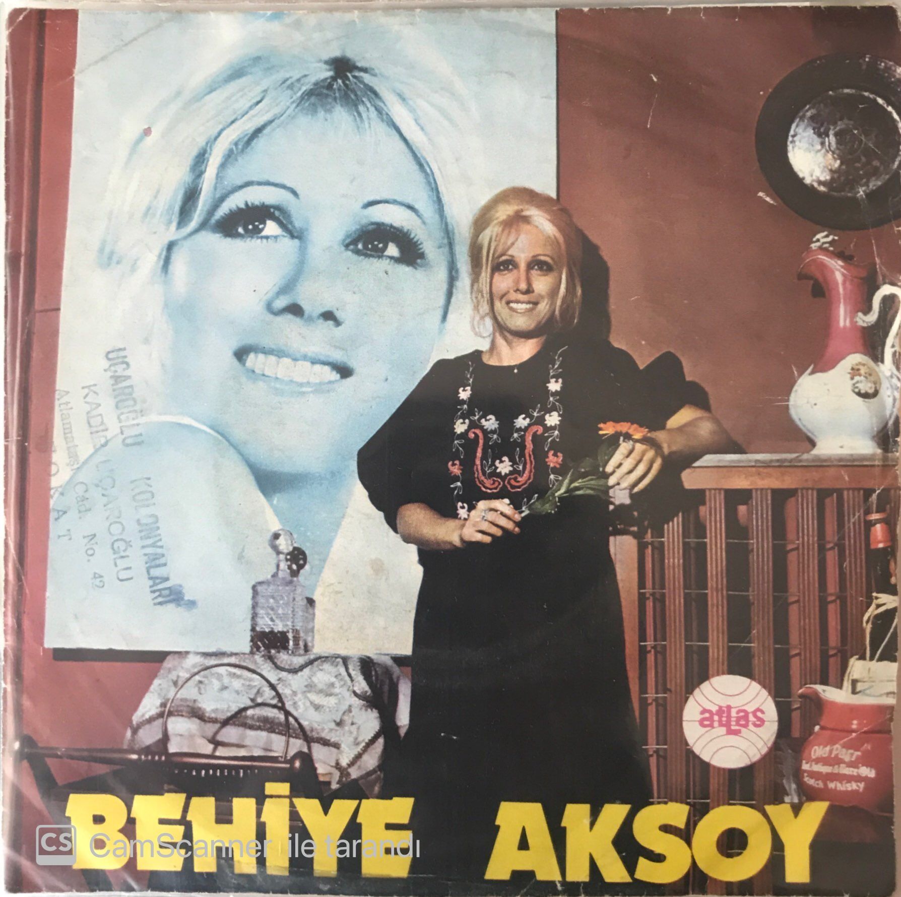 Behiye Aksoy Karlı Bir Kış Günü 45lik