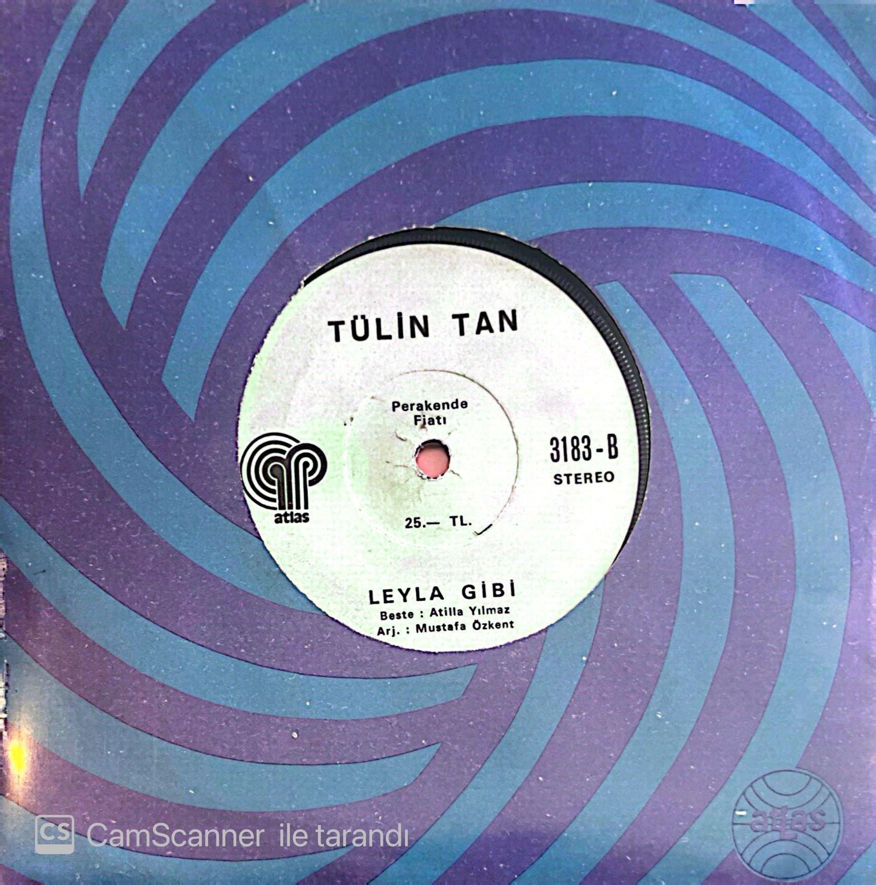 Tülin Tan Aşk Dediğin Nedir 45lik