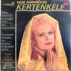 Neşe Karaböcek Kertenkele LP