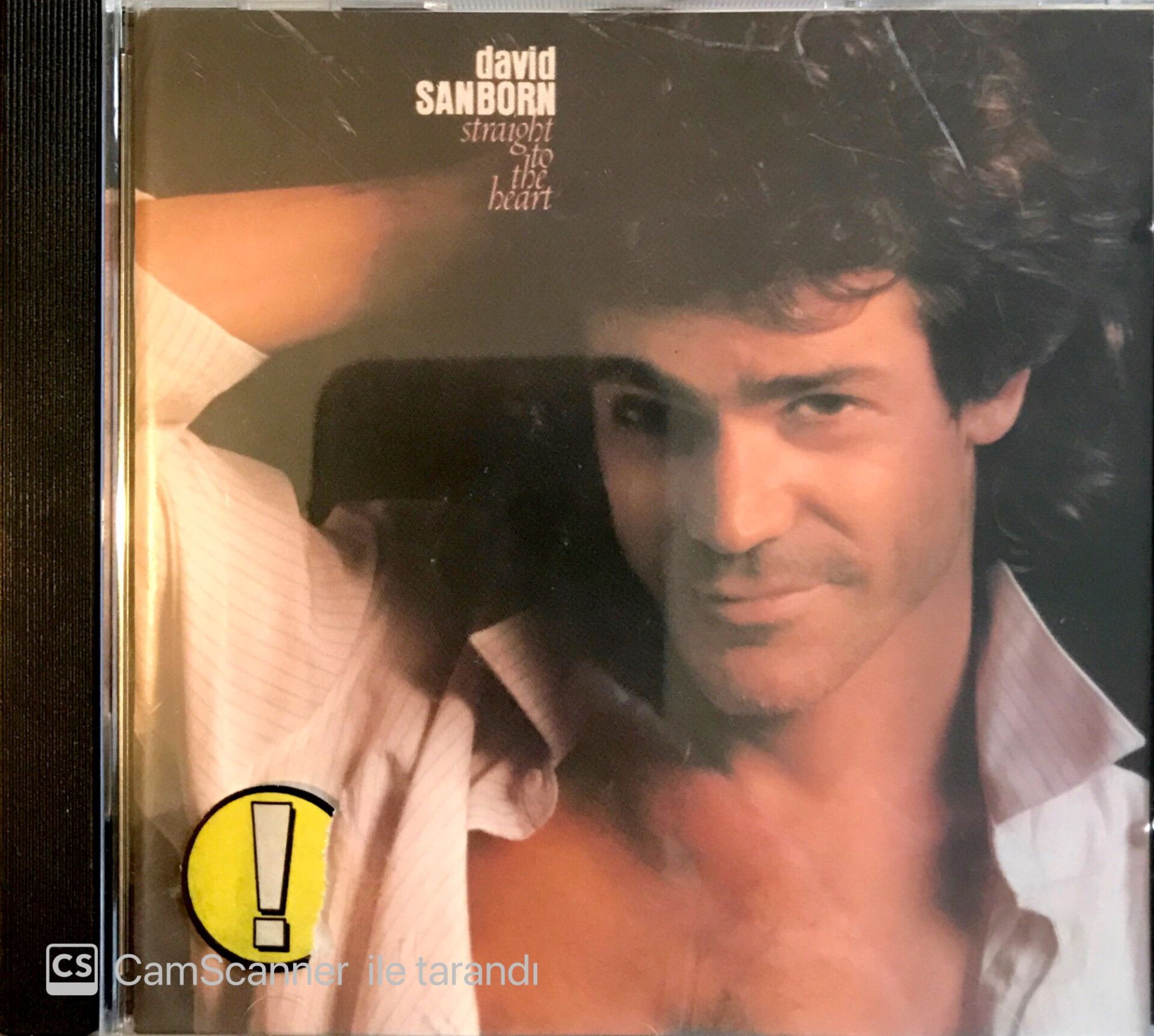 David Sanborn / Straight To The Heart CD