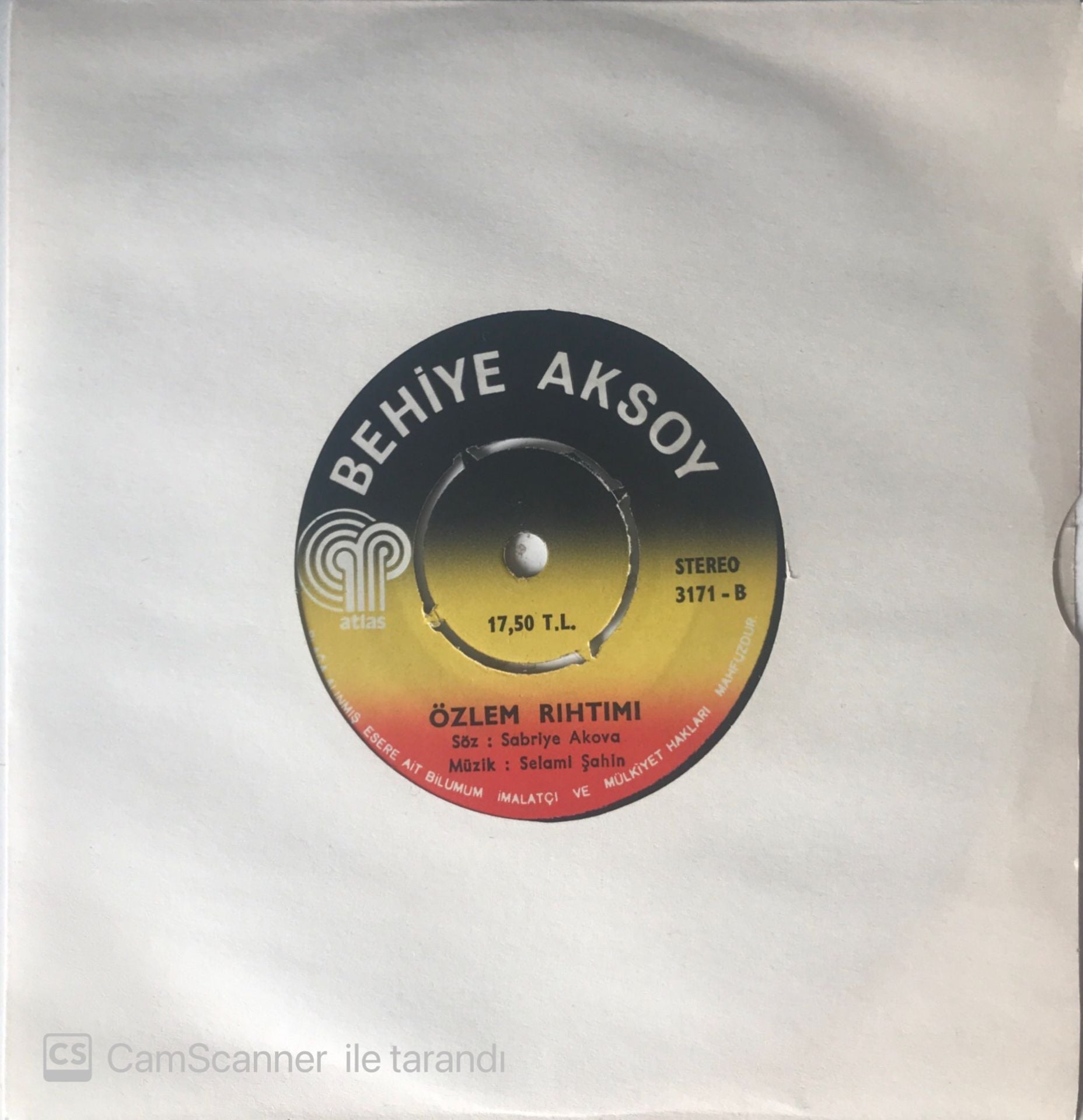 Behiye Aksoy Nankör 45lik