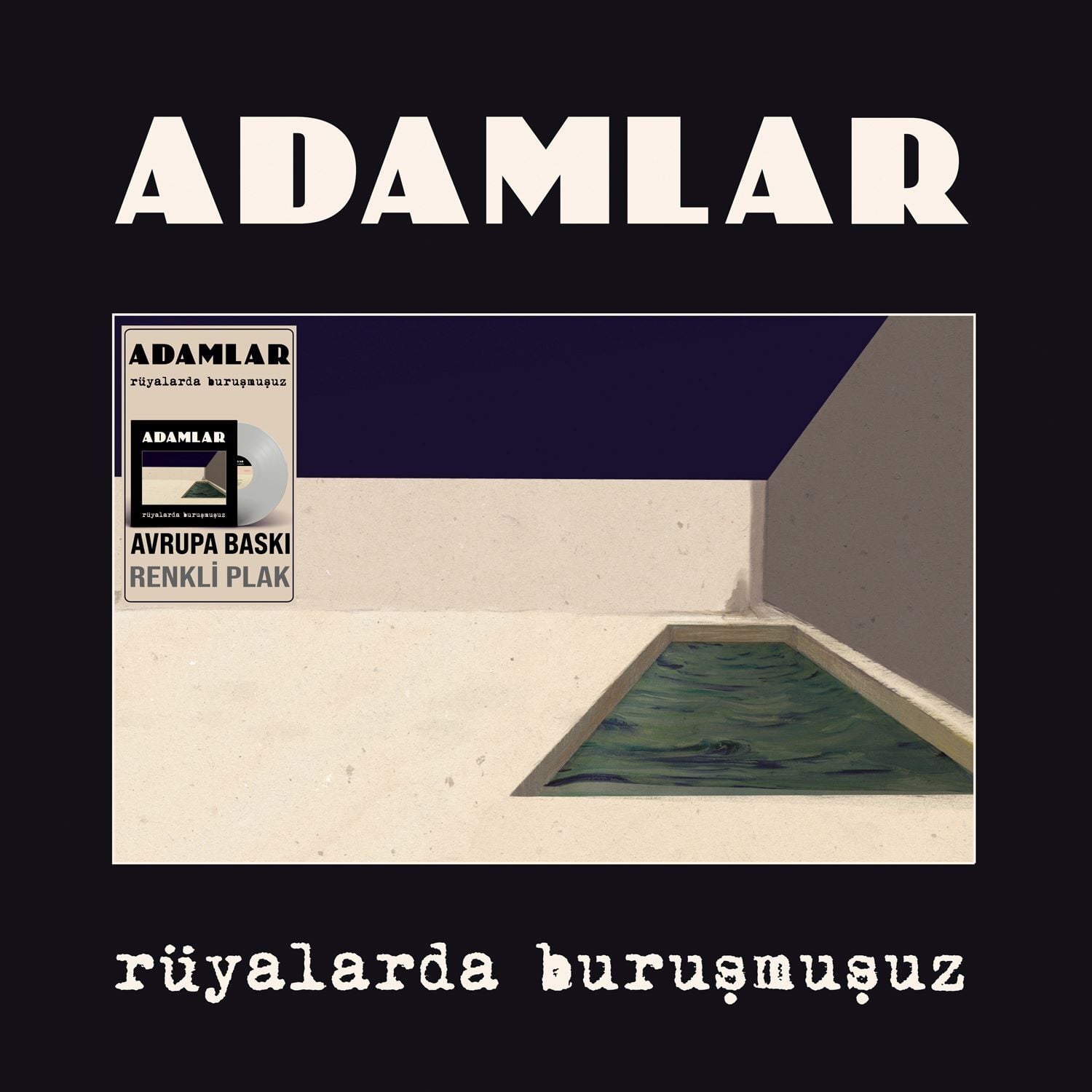 Adamlar - Rüyalarda Buruşmuşuz (Renkli Plak) LP