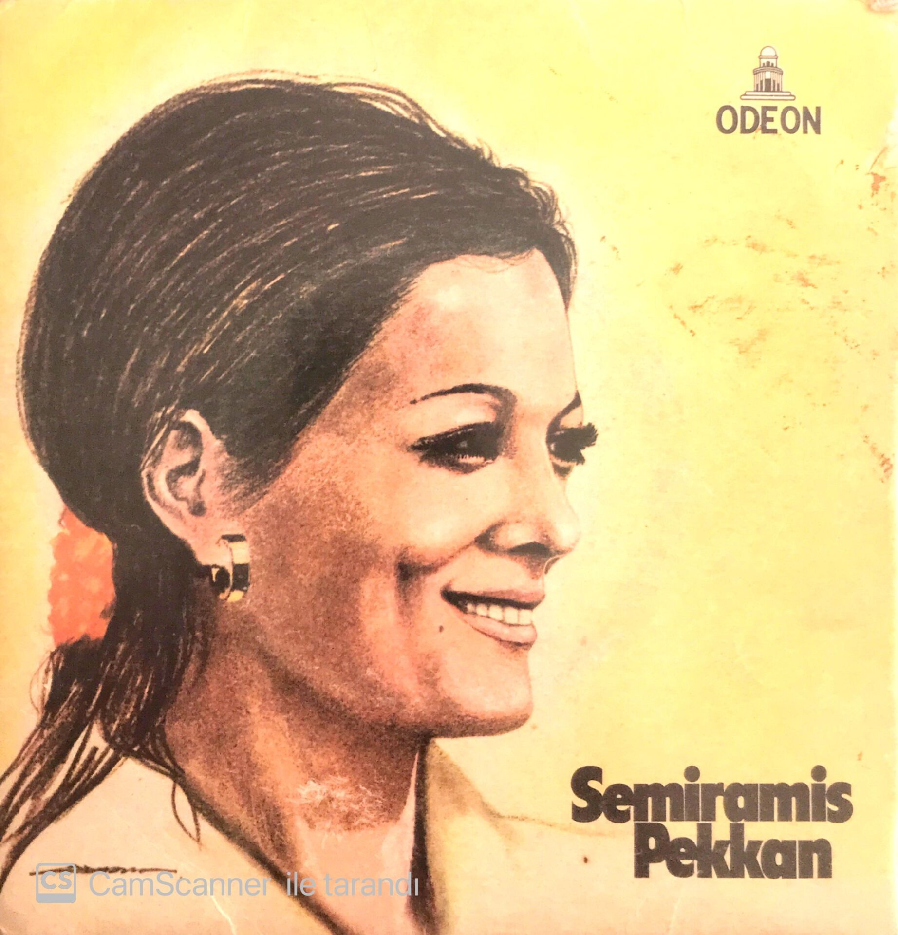 Semiramis Pekkan / Bile Bile 45'lik