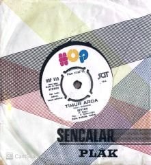 Timur Arda Şeytan 45lik