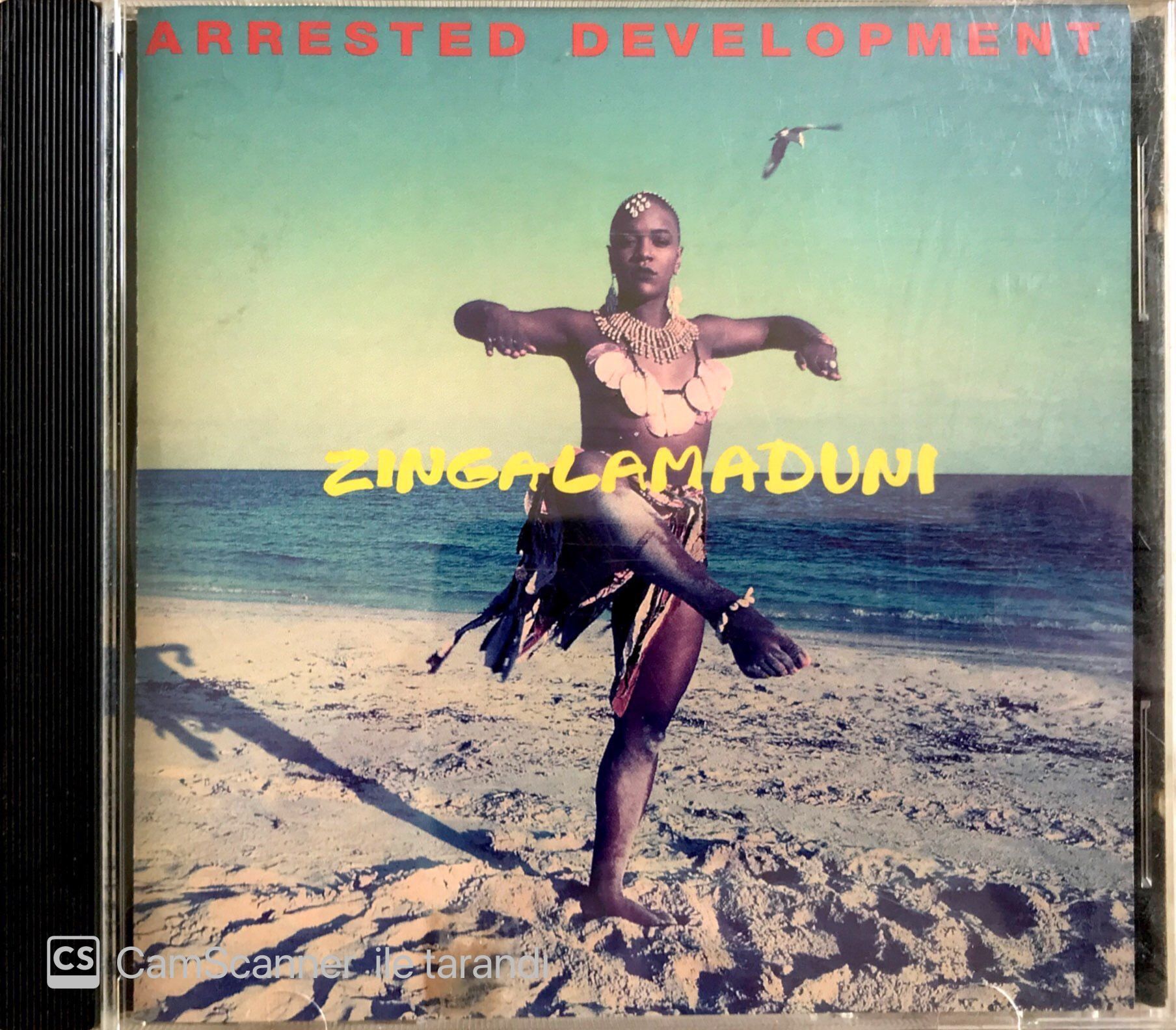 Arrested Development /Zingalamaduni CD