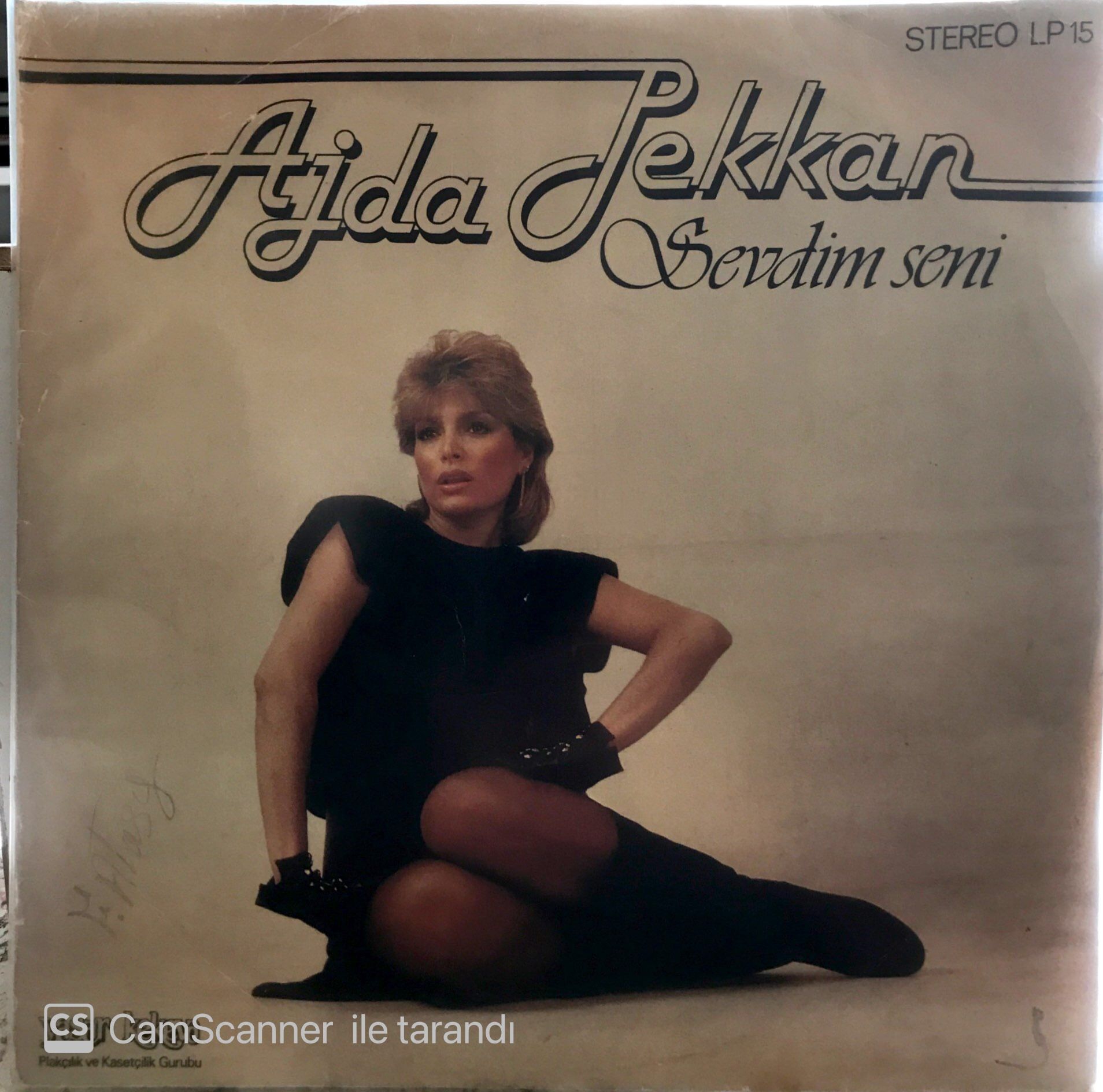 Ajda Pekkan Sevdim Seni LP