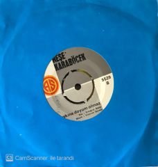 Neşe Karaböcek Son Hatıra 45lik