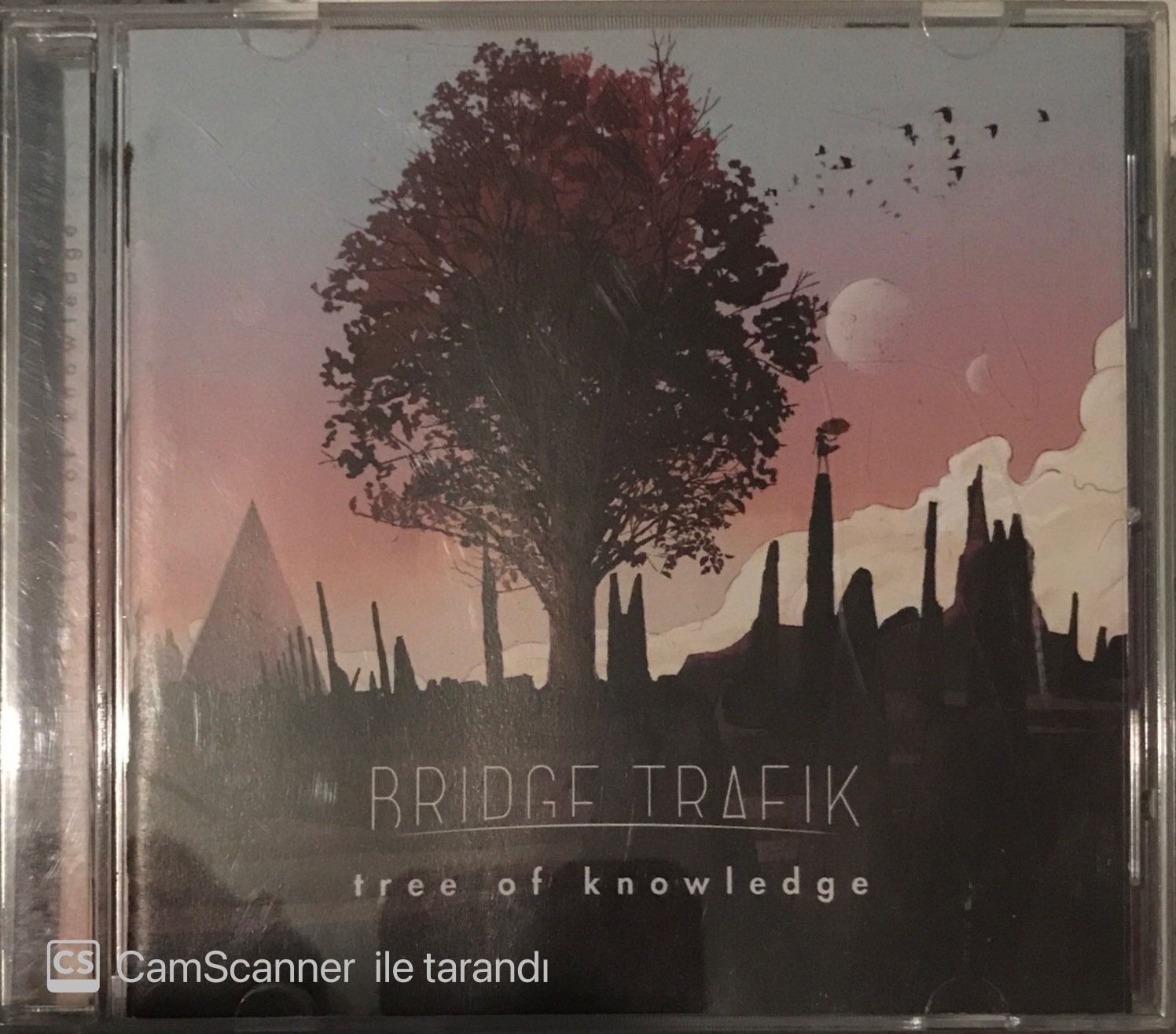 Bridge Trafik - Tree Of Knowledge CD