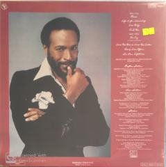 Marvin Gaye In Our Lifetime LP