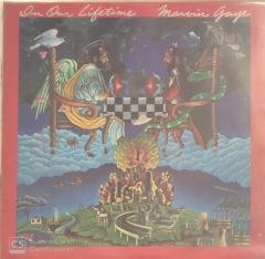 Marvin Gaye In Our Lifetime LP