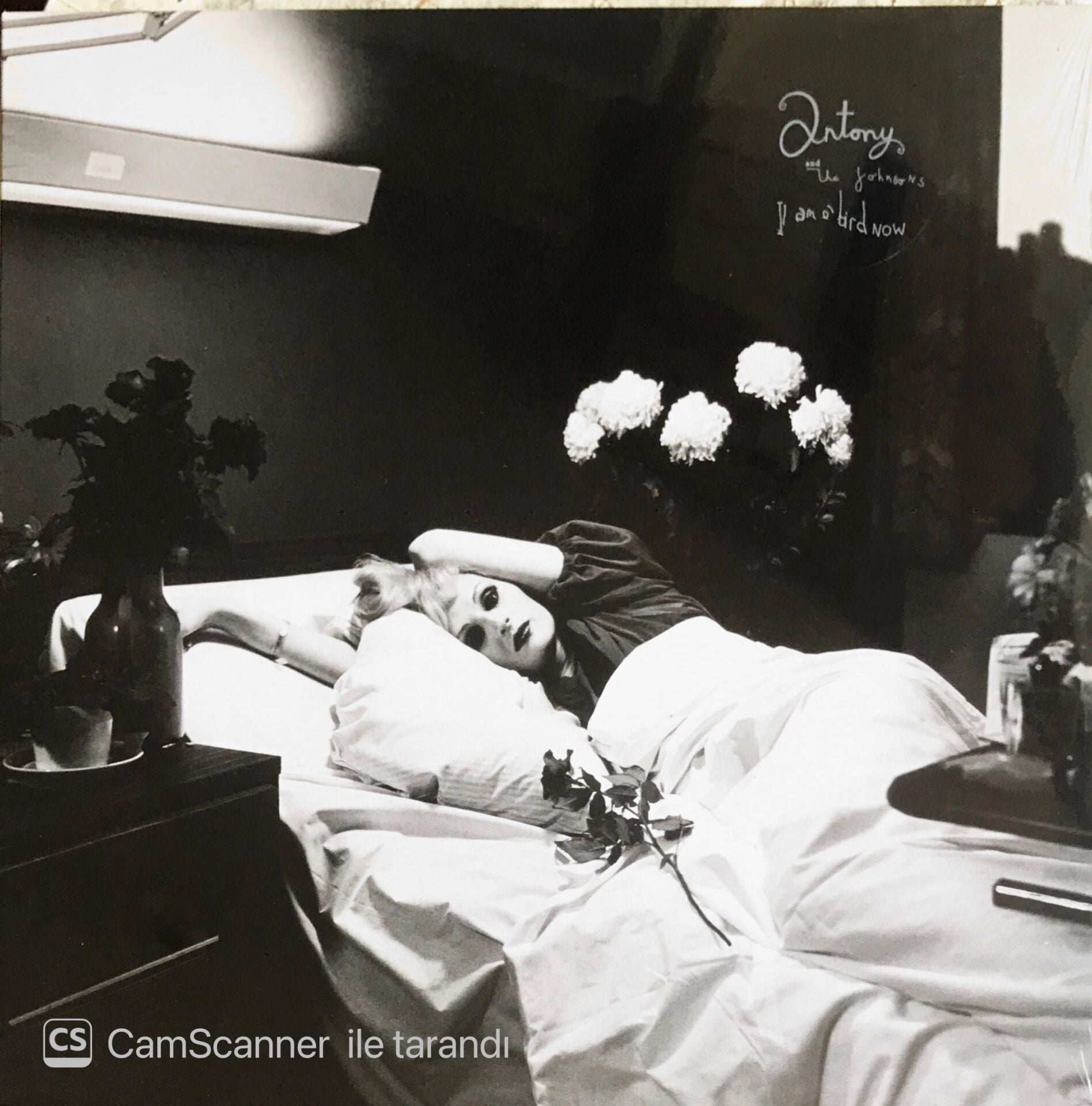 Antony And The Johnsons - I Am A Bird Now - LP