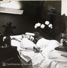Antony And The Johnsons - I Am A Bird Now - LP