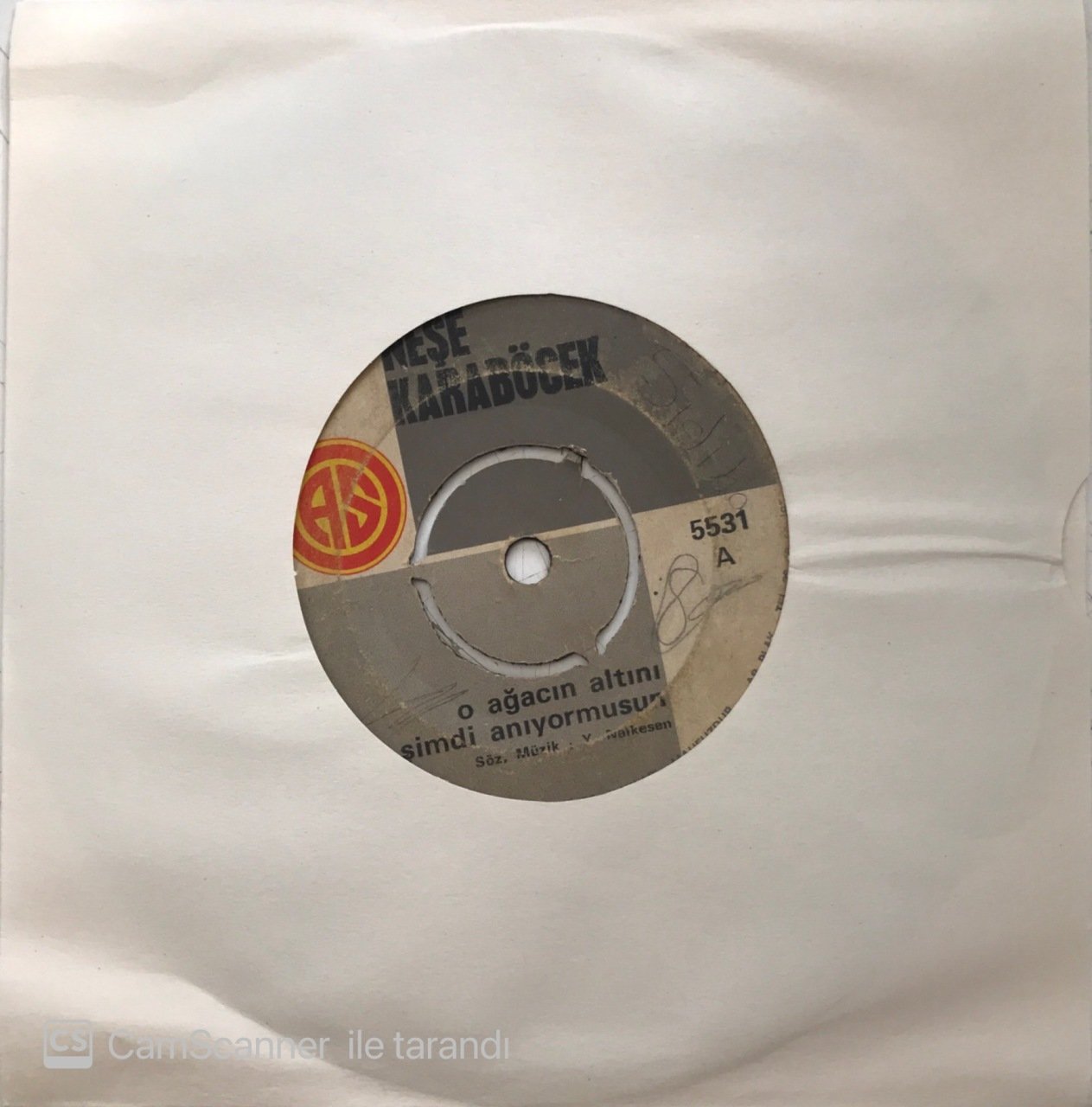 Neşe Karaböcek O Ağacın Altını Şimdi Anıyor Musun 45lik