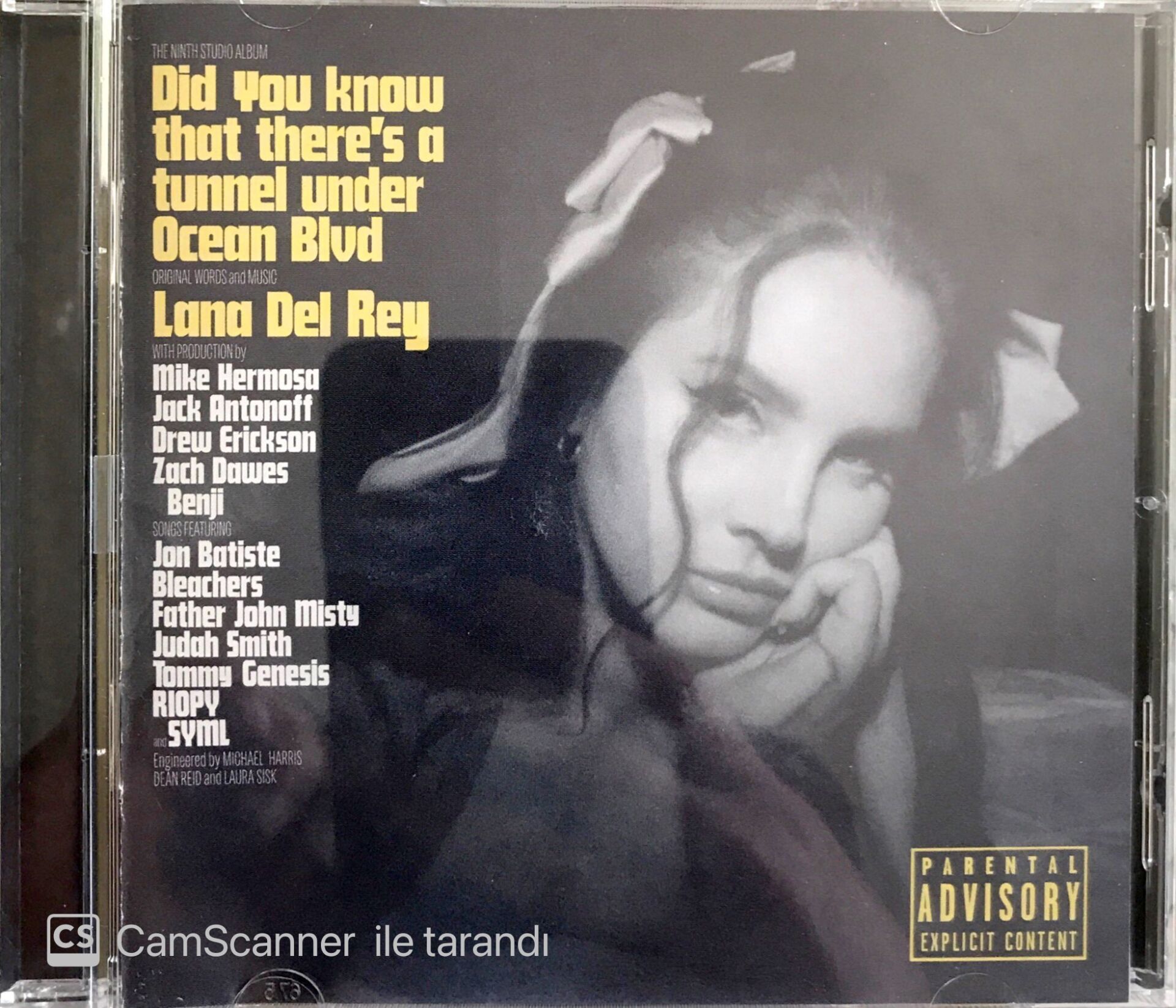 Lana Del Rey / Did You Know That There's A Tunnel Under Ocean Blvd