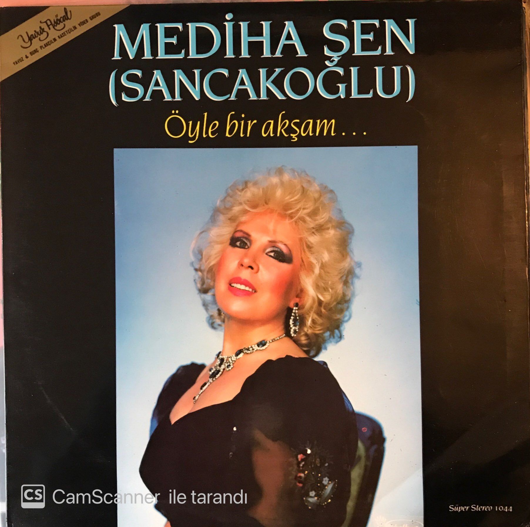 Mediha Şen Öyle Bir Akşam LP