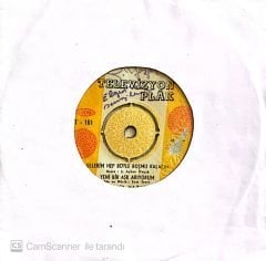 Gönül Yazar Mini LP