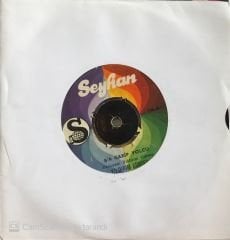 Yıldırım Gürses Bir Garip Yolcu